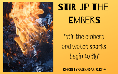 February 13, 2019: Stir up the Embers