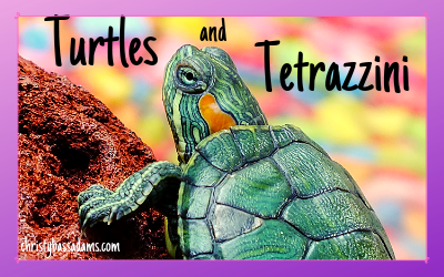 Turtles and Tetrazinni: April 10, 2019