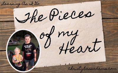 August 14, 2019: The Pieces of My Heart