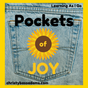 January 8, 2020: Pockets of Joy