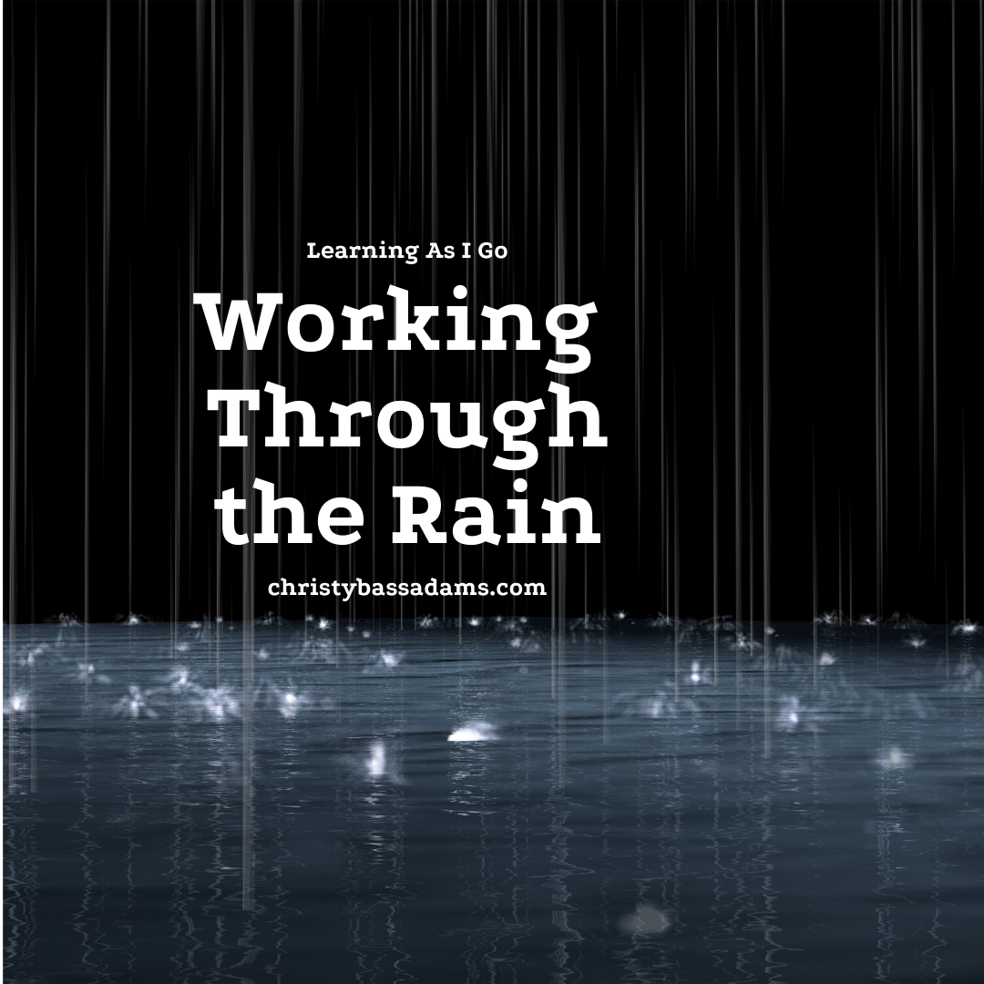 February 19, 2020: Working Through the Rain