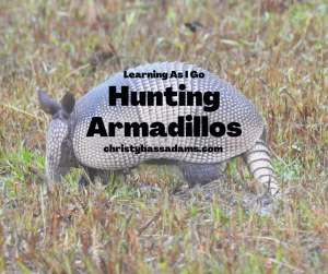 June 17, 2020: Hunting Armadillos