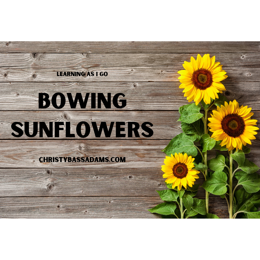 July 15, 2020: Bowing Sunflowers