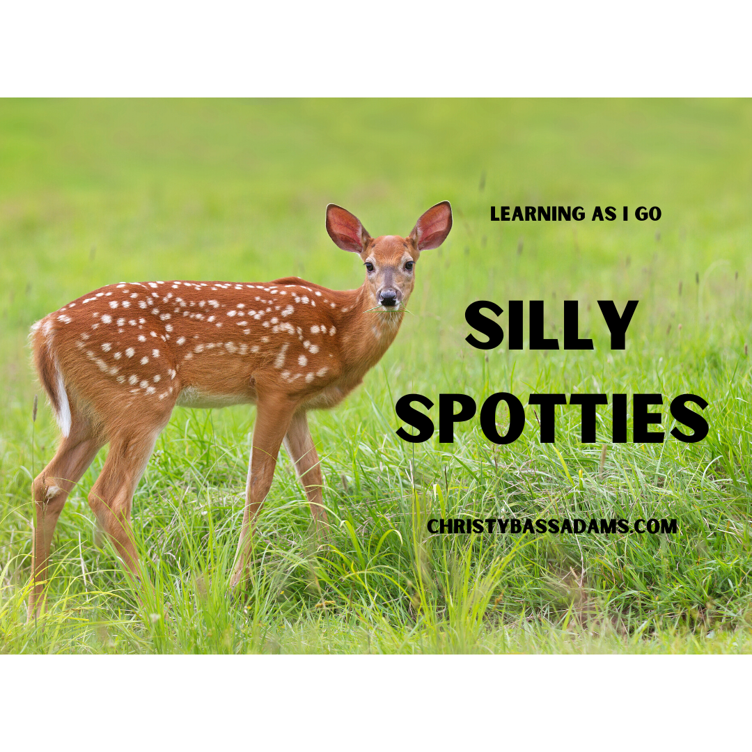 July 8, 2020: Silly Spotties