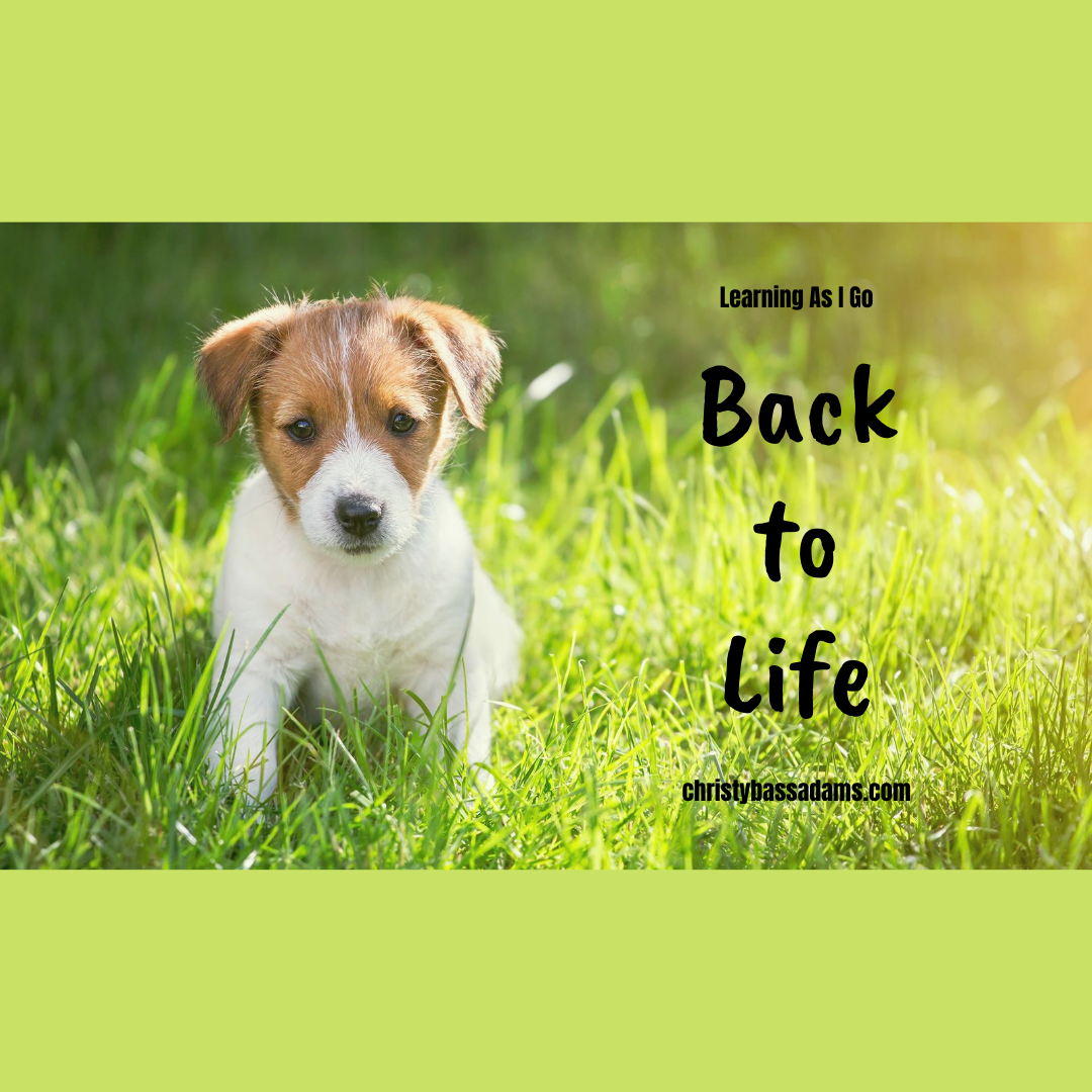 August 4, 2020: Back to Life