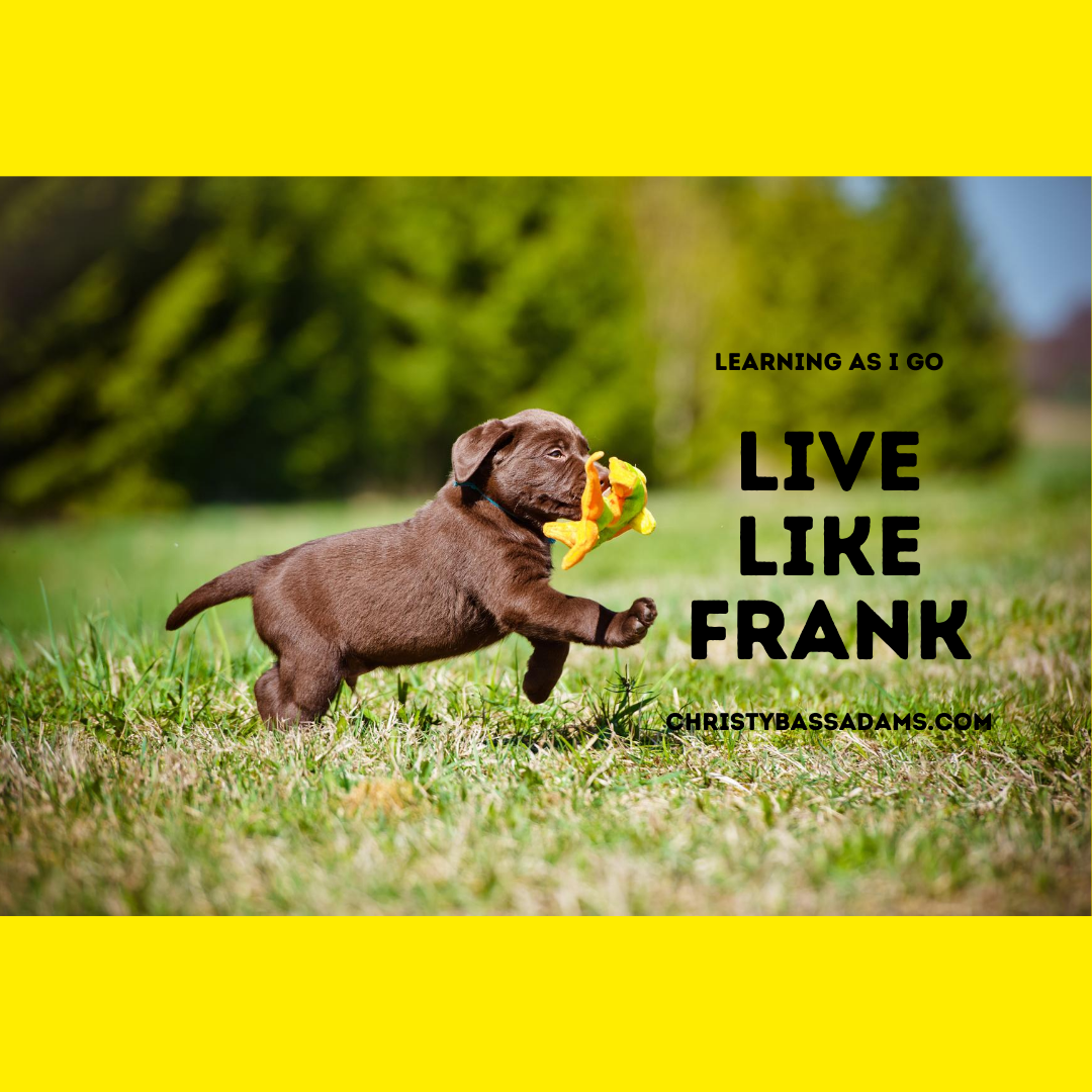 August 11, 2020: Live Like Frank