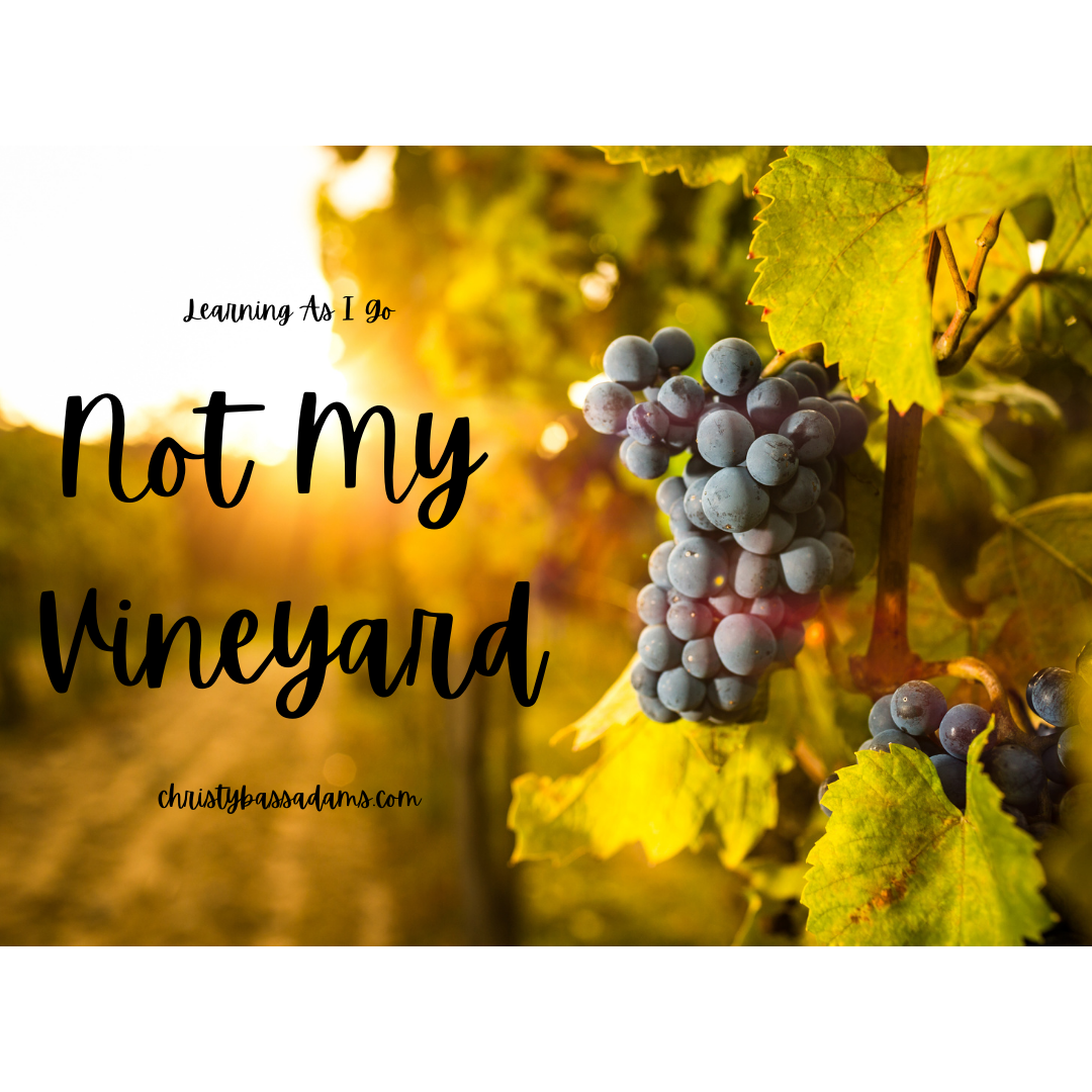 January 27, 2021: It's Not My Vineyard