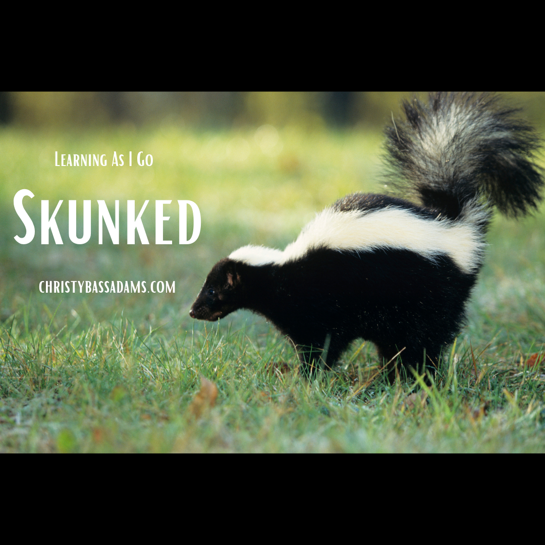 March 10, 2021: Skunked