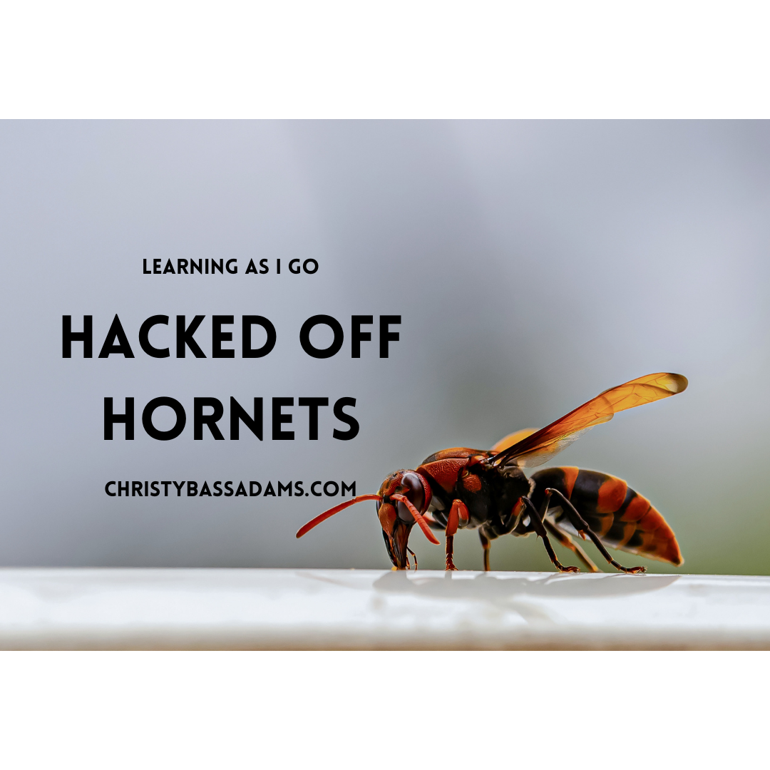 March 31, 2021: Hacked Off Hornets