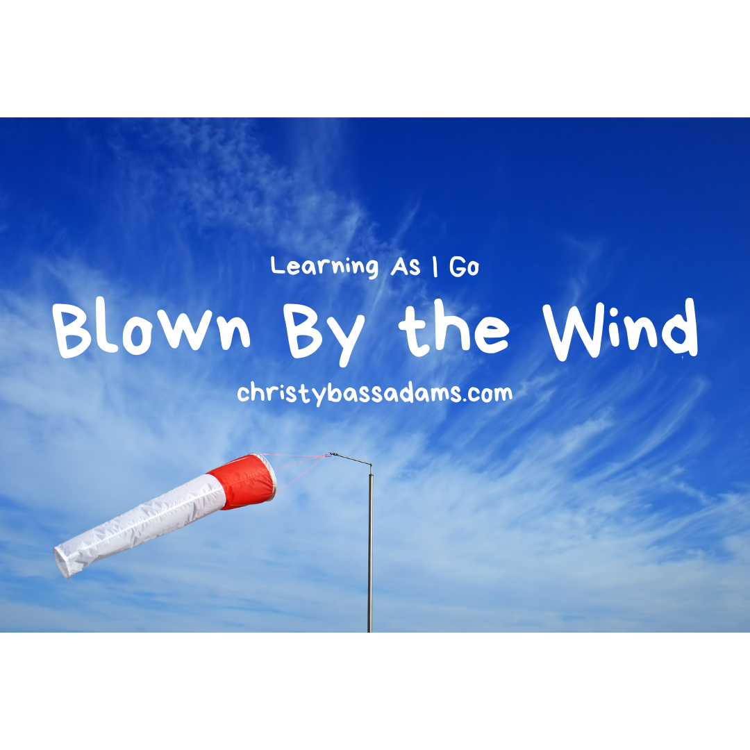 May 26, 2021: Blown By the Wind