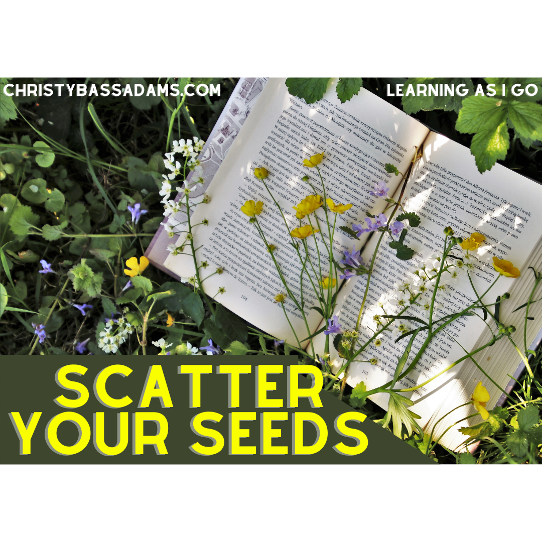 May 5, 2021: Scatter Your Seeds
