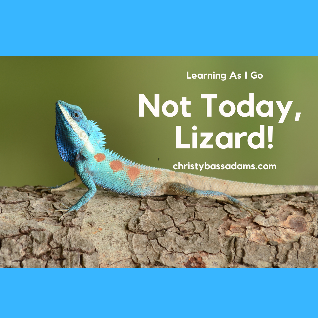 June 30, 2021: Not Today, Lizard