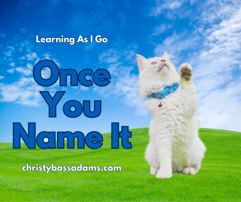 once-you-name-it-learning-as-i-go-christy-bass-adams